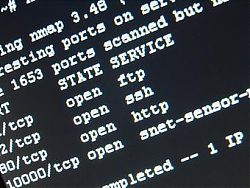 Serverausfall!